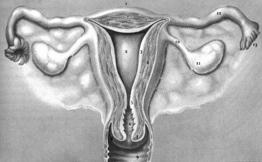 detected in 5-4% of women of reproductive age HPV infection is the central causative factor in squamous cell carcinoma of