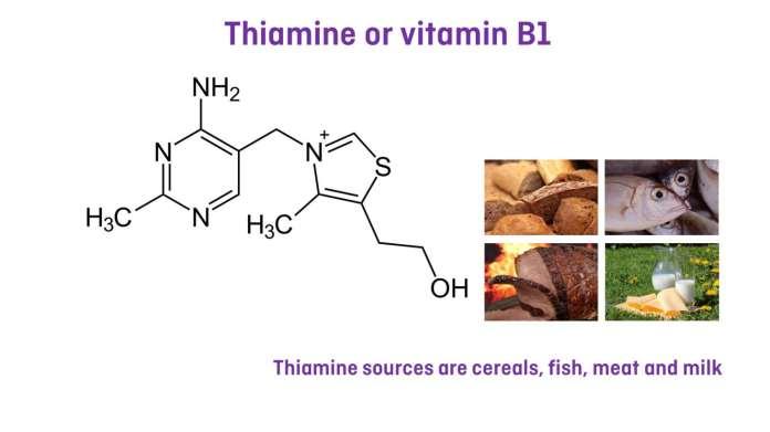 THIAMINE TRANSPORTER TYPE 2 DEFICIENCY WHAT IS THE THIAMINE TRANSPORTER TYPE 2 DEFICIENCY (hthtr2)?