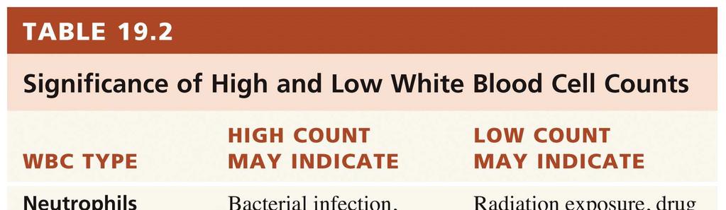 White Blood Cells In general, an elevation in the white blood count usually