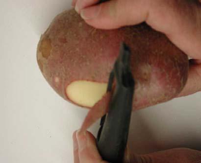 Tuber analysis: Tubers need higher levels of Calcium.