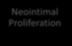 cascades Inflammatory response Neointimal Proliferation