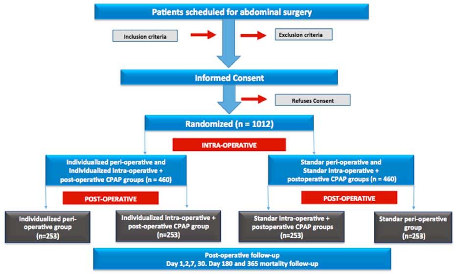 Rationale and study design for an individualized perioperative open lung