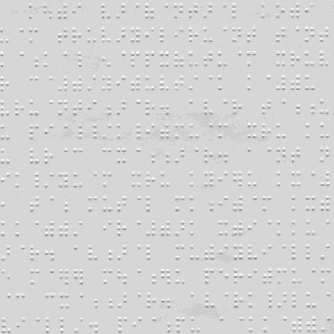 Experienced Braille readers can read about 100 words per