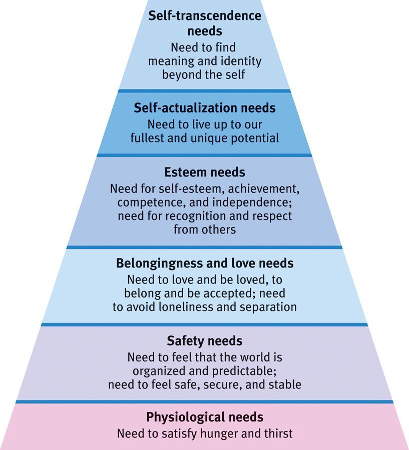 Abraham Maslow s Hierarchy of Needs Some needs are more important than others.