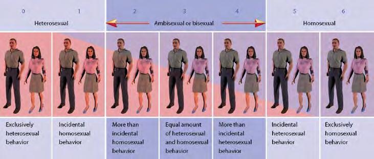 Heterosexual, Homosexual, and Bisexual. Environmental Theories says that sexual orientation is due to nurture.