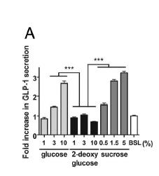 sucrose) led to a concentration dependent release of GLP-1 When lactisole
