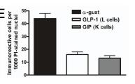 both GIP and GLP-1 (K/L cell) The number of gustducin