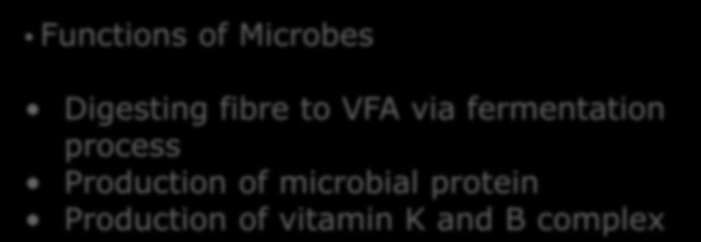Functions of Microbes Digesting