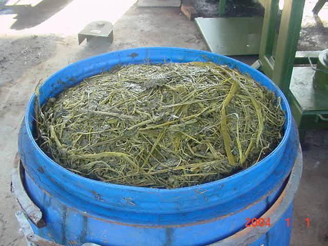 SILAGE