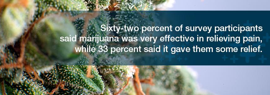 The National Pain Foundation surveyed some participants who tried marijuana to relieve some of the chronic pain associated with their condition.
