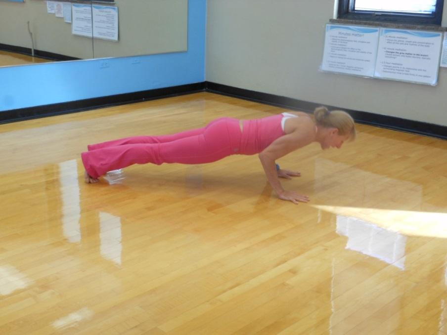 Hover Plank Muscle and Flexibility Areas: Deltoids, Rectus Abdominus, Gluteus, Gastrocnemius, Pectorals, Soleus, Trapezius, Rhomboids, Back Extensors, Posterior Deltoid -Begin to lower the body to