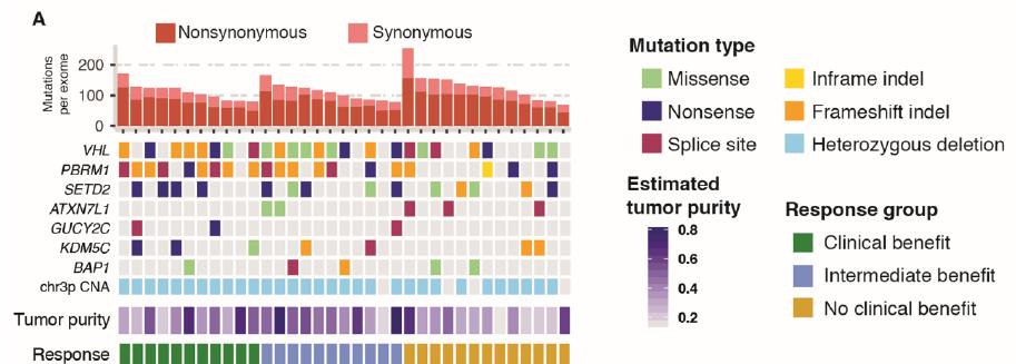 Predictive Biomarkers Genomic correlates of response to immune checkpoint therapies in clear cell renal cell carcinoma Miao, Margolis, Gao [ ]