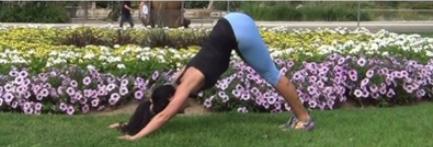 Week Workout B Down Dog Flow While in Downward dog () press firmly into the hands,