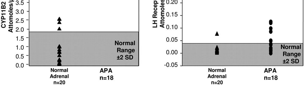 LH receptor overexpression in APA Saner-Amigh, K.
