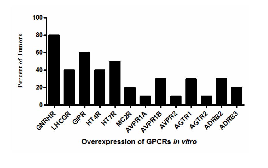 Expression levels of mrna for various GPCR by quantitative PCR in resected aldosteronomas AVPR1A, AVPR1B, AVPR2 1000 800 600 400 250 200 150 100 50 0 Relative receptor expression Control AVPR1A