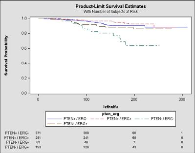 PTEN /ERG Outcomes after RRP (Health Professionals Follow-Up Study and Physicians Health Study) PTEN / ERG status PTEN+ and ERG- PTEN+ and ERG+ PTEN- and ERG- PTEN- and ERG+ N Lethal MVA HR 306