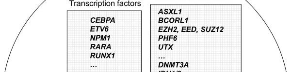 AML mutations Knowledge Activated signaling: g FLT3, RAS, NPM1