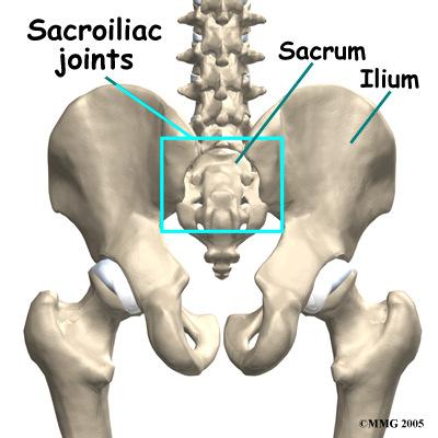 1.2 The Sacroiliac Joint (SIJ) The SIJ connects the sacrum (triangular bone at the bottom of the spine) with the pelvis (iliac bone that is part of the hip joint) on each side of