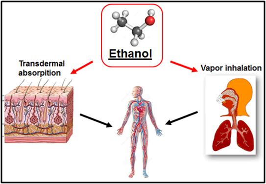 abstinence from ethanol-containing beverages.