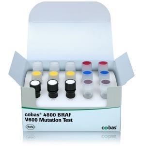 The cobas 4800 BRAF V600 Mutation Testreal-time PCR