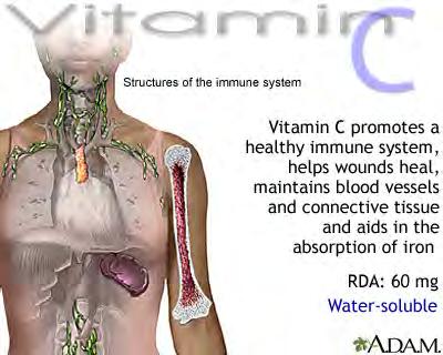 Vitamin C and D Vitamin C antioxidant Free