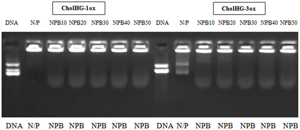Figure 9. Transfection efficiency of the gemini (CholHG-1ox) based formulation against various commercial transfection reagents in presence of serum. Concentration of DNA = 0.8 mg/well.