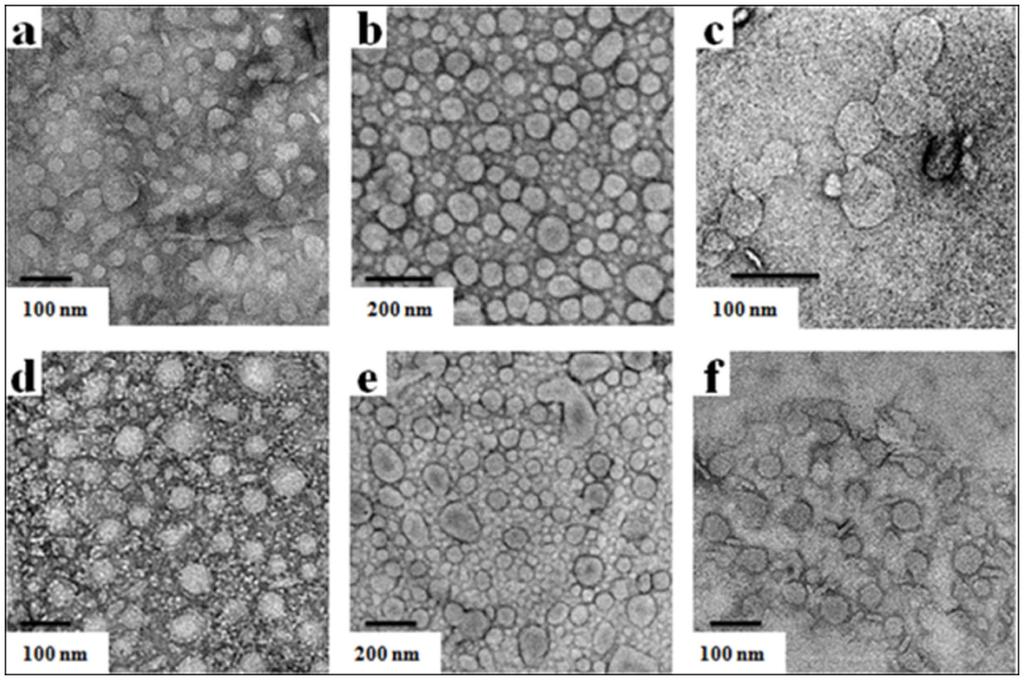 gemini aggregates ranged from 30 to 130 nm in diameter. TEM studies further indicate that CholHG-1ox gives liposomes of lowest in size whereas CholHG-3ox affords liposomes that are largest in size.