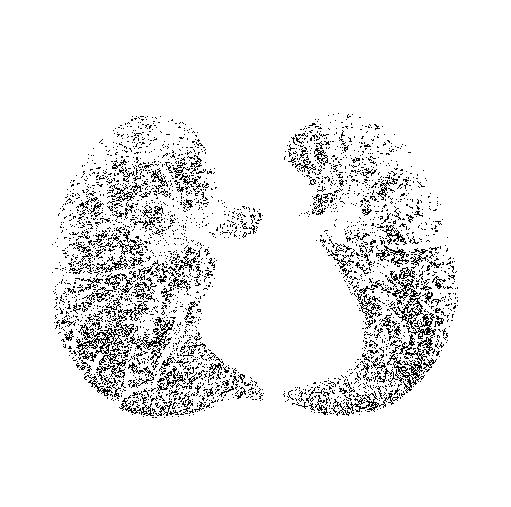 The segmentation results were satisfactory and appreciated by radiologists, as the obtained clusters show unique representations of the morphology of the different lung tissues.