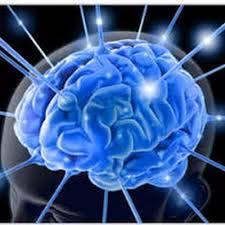 IMPROVES FUNCTION OF BRAIN Brain cells are very active and produce a lot of waste needs to be removed Brain has unique waste disposal system Glympathic system (GS) Removing dead cells, getting rid of