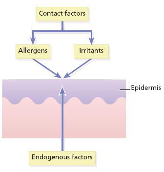 Eczema/dermatitis is a