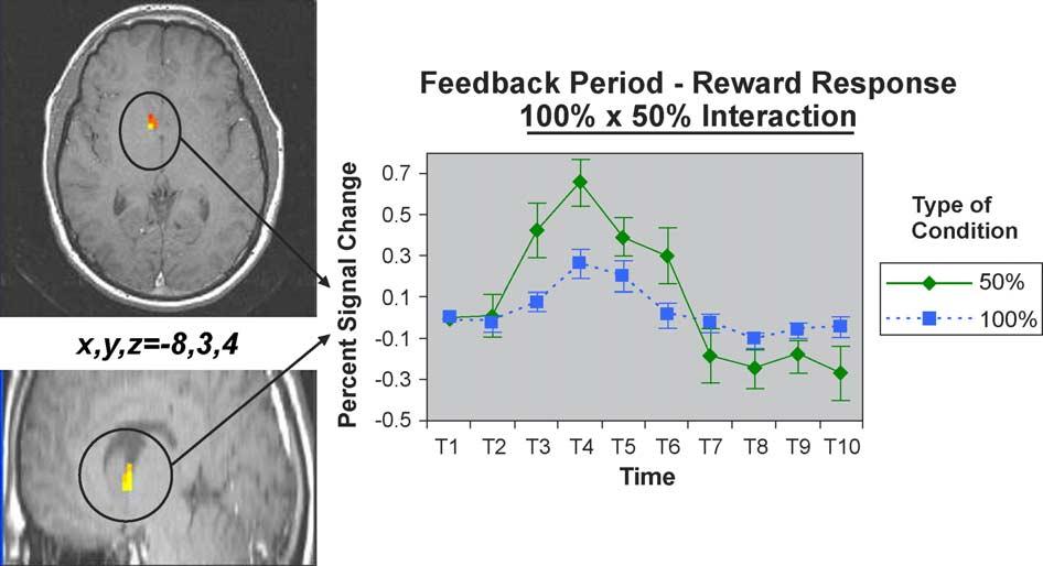 870 M.R. Delgado et al. / NeuroImage 24 (2005) 862 873 Table 3 Feedback period: late phases of learning ( P b 0.