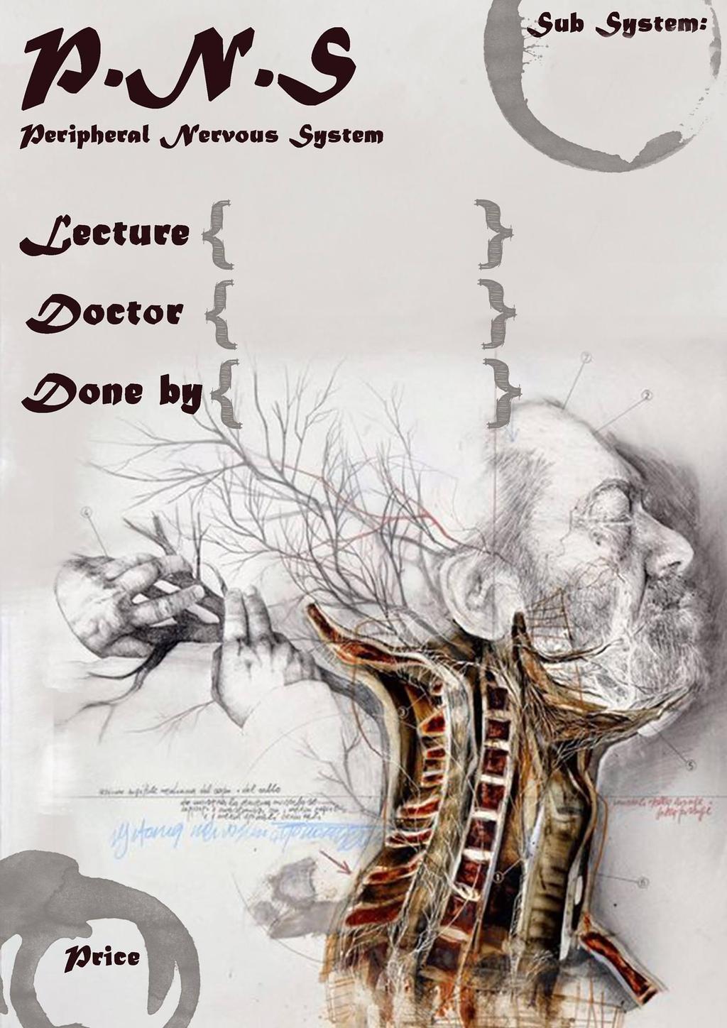 Anatomy #9 The Cranial Nerves IX Rashed