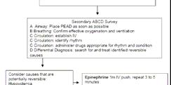 Too Many Choices??!! Epinephrine may be a better choice for non-cardiac related arrest Overdose Trauma Respiratory causes Amiodarone v.