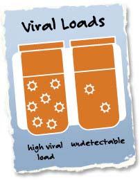 Viral load Viral load measures the amount of HIV circulating in the blood Measured in copies of HIV