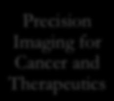 Cancer and Therapeutics