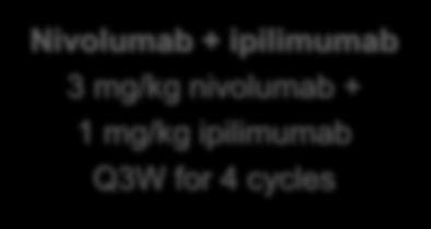 ipilimumab Q3W for 4 cycles Nivolumab 3 mg/kg Q2W Measurable disease Karnofsky