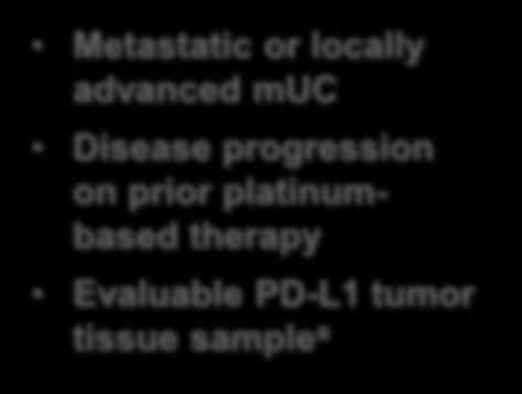 PD-L1 expression testing at screening, but were not excluded based on PD-L1 status.