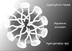 In bile acid micelle, the hydrophobic side of bile acid faces inside & away from water.