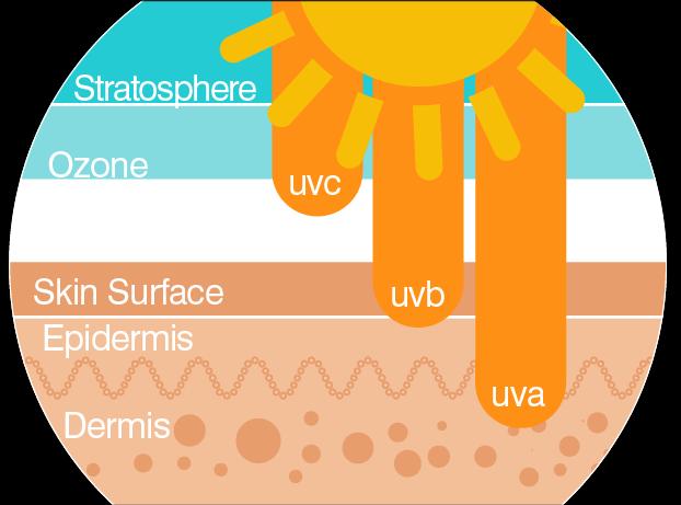 Types of Ultraviolet (UV) Radiation UVA causes skin cancer and ageing UVB causes skin cancer and burning UVC doesn t reach the ground. It is absorbed by the Earth s atmosphere.