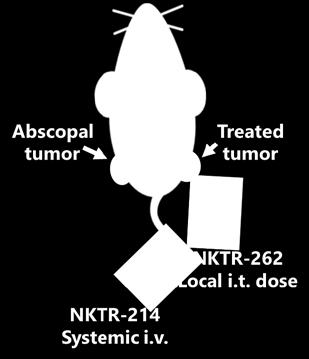 Tumor Regressions and Abscopal Effect from NKTR-262 + NKTR-214 EMT6 (Bilateral) CT26 (Bilateral) Mammary Carcinoma Colon Carcinoma Tumor Volume (mm 3 ± SEM) 1200 900 600 300 100% CR Tumor Volume (mm