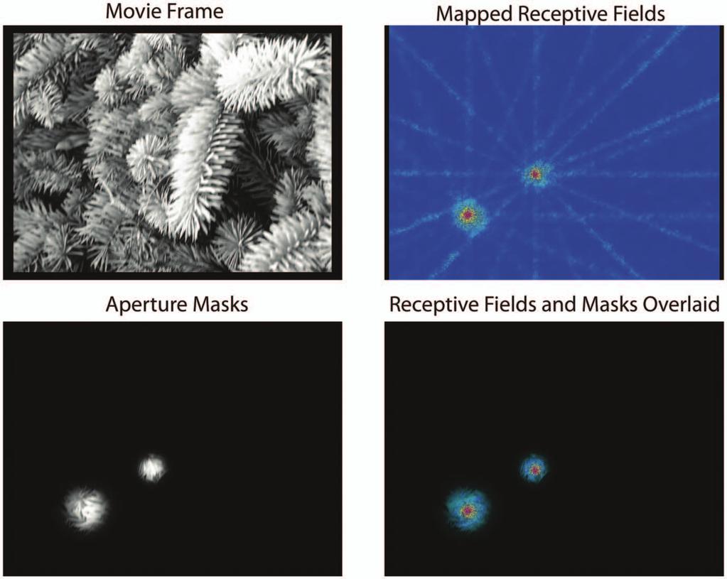 Figure 6. Three examples of aperture mask placement. Top left: movie frame. Top right: CRFs of multiunit activity from two recording electrodes.