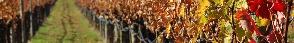 Post-Harvest Nutrient Management Post Harvest Nutrient and carbohydrate reserves for grape vines are essential for vine health and performance for the following year.