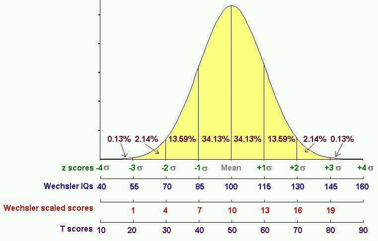 Normal Curve/Distribution Standard Scores and Their Relationships to the Normal Curve Raw score vs. Standard Score As is vs.