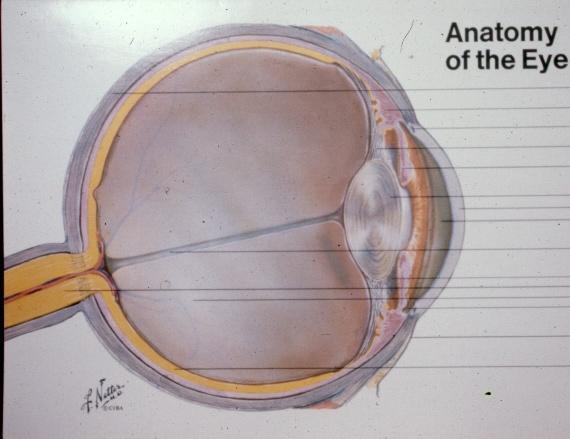 2010 OPT - 243 Vitreous Disorders & Vitreoretinal Disorders of the Posterior Pole I Leo Semes, OD, FAAO 100% 0% 0% 0% 0% Which of these gives the best resolution for studying vitreoretinal disorders