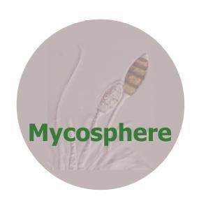 Mycosphere 5 (6): 790 804 (2014) ISSN 2077 7019 www.mycosphere.org Article Mycosphere Copyright 2014 Online Edition Doi 10.