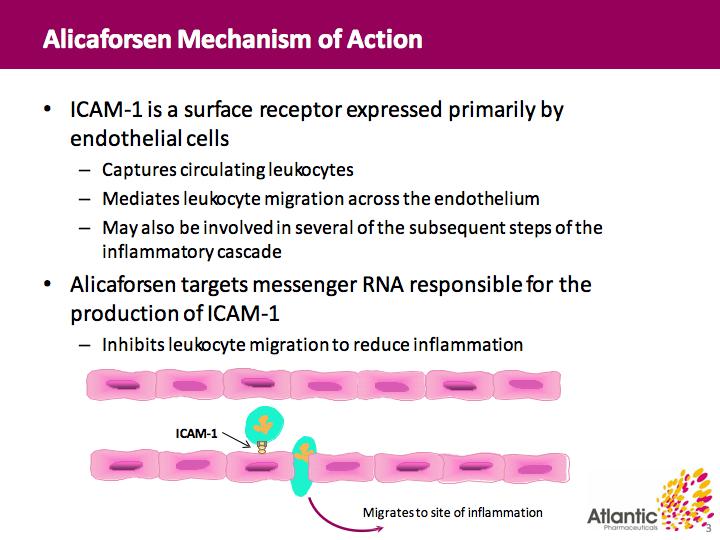 Alicaforsen Anti-adhesion therapy which blocks an activated leukocyte receptor on endothelial cells.
