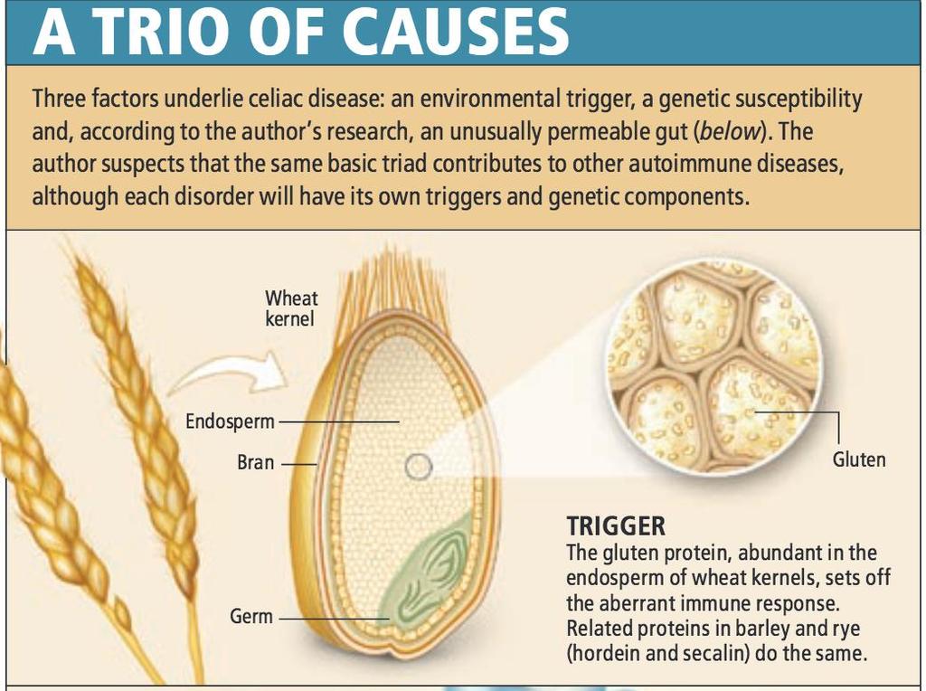 Triggers, Genes & Leaky