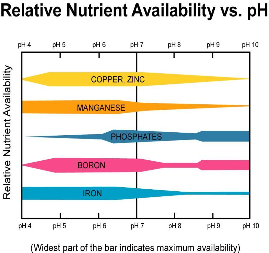 Why is ph importan Nutrient availability