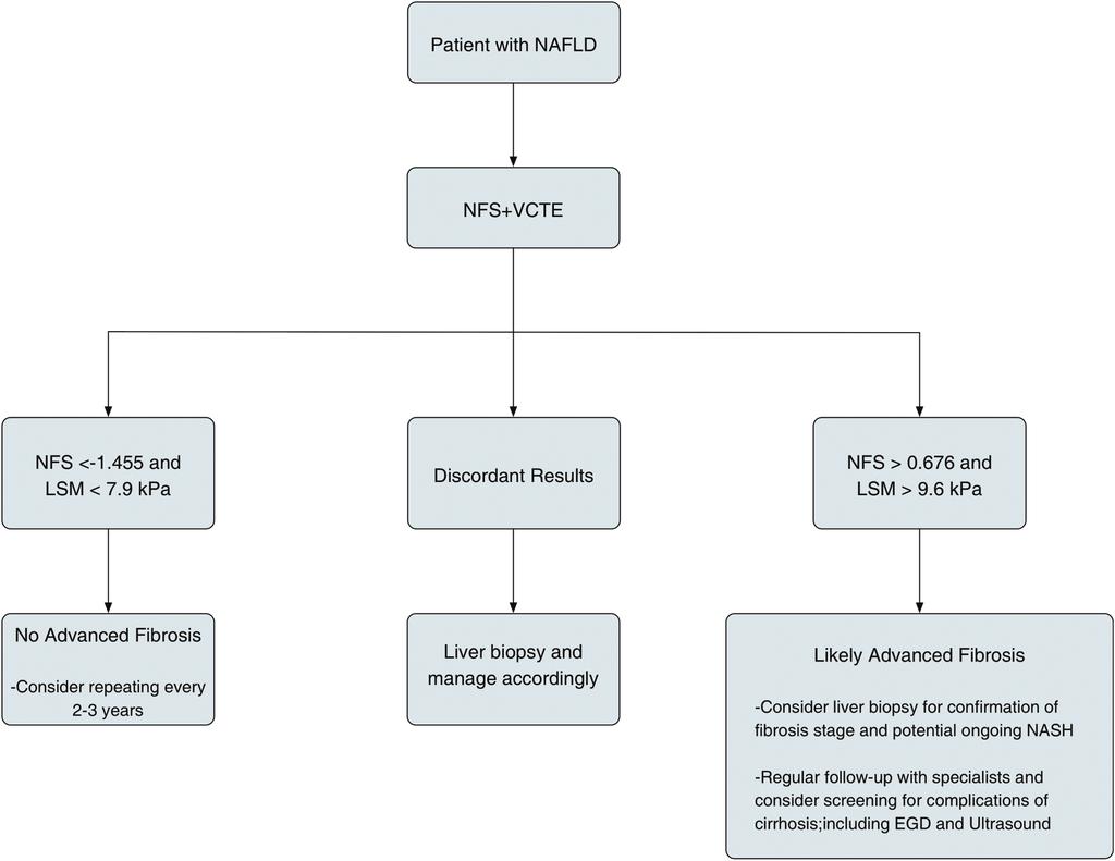 Fig. 1. Proposed algorithm for assessing NAFLD patients for advanced fibrosis.