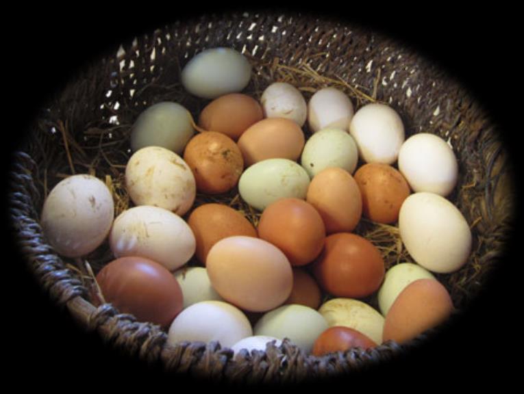 Eggs No permit/inspection required <3,000 birds Limit of 50 cases (30 doz per case) of